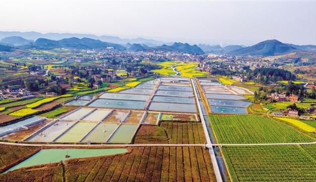 河北省政府出臺《關于做大做強農(nóng)業(yè)產(chǎn)業(yè)化龍頭企業(yè)的意見》，提出河北省農(nóng)業(yè)產(chǎn)業(yè)化發(fā)展目標
