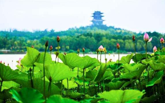 中國(guó)文旅產(chǎn)業(yè)的市場(chǎng)潛力龐大，未來(lái)市場(chǎng)空間有望達(dá)到2萬(wàn)億元