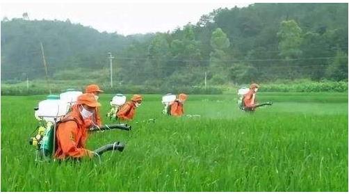 農藥行業(yè)仍然具有較大的發(fā)展空間，高效、低毒、低殘留將是其發(fā)展方向