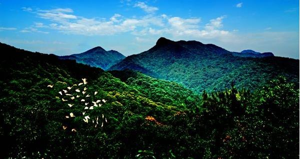 花都區(qū)出臺“白金十條”促進(jìn)旅游產(chǎn)業(yè)發(fā)展，最大一項政策獎勵達(dá)2000萬元???