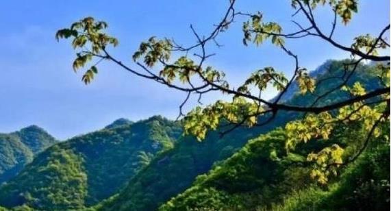 陜西省政府：印發(fā)《秦嶺生態(tài)環(huán)境保護行動方案》，持之以恒有效保護秦嶺這一國家重要生態(tài)安全屏障