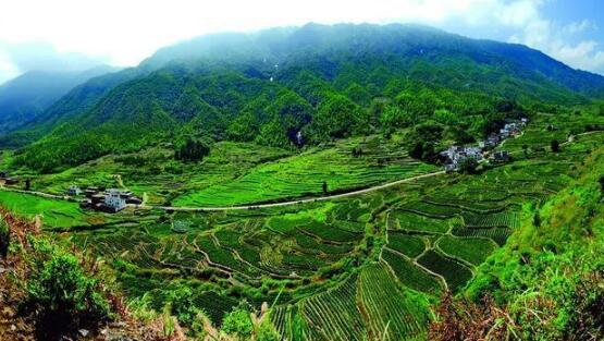 咸寧重振雄風(fēng)推進(jìn)茶文旅融合，做深做優(yōu)做強(qiáng)茶產(chǎn)業(yè)